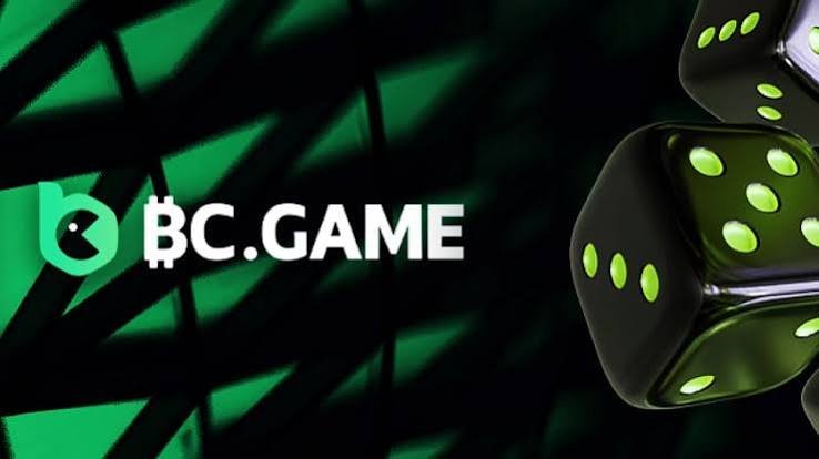 Exploring BC.Game Online A Premium Gaming Destination